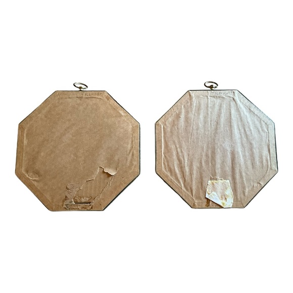 Vintage Hexagon Framed Bird Pictures - Picture 8 of 8